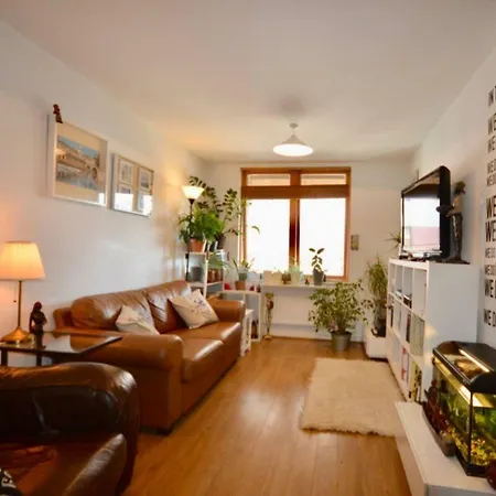 The Perfect Central 1 Bedroom In *